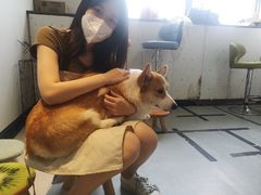 -汪说·狗咖(旺城大厦店)