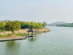 -长广溪湿地公园