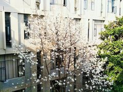 -安徽大学(磬苑校区)