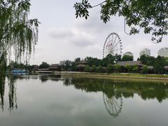-天津水上公园