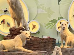 -陕西自然博物馆