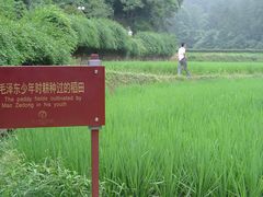 -韶山毛泽东同志故居