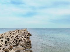 -东疆建设开发纪念公园