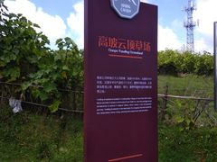 -贵州云顶草原民族风情园