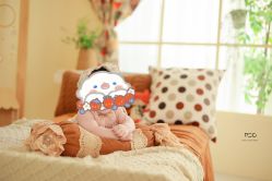 -Baby Pastel 自然光儿童摄影(CBD店)