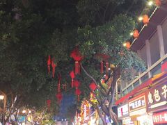 -味子夫鸡柳(解放碑总店)