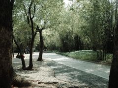 -晓港公园