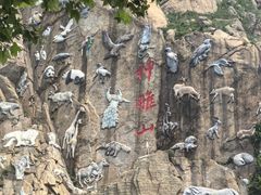 -西霞口神雕山野生动物世界