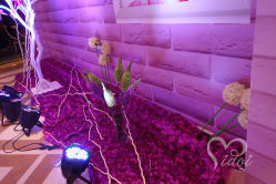-IDOI婚礼策划·IDOIWEDDING