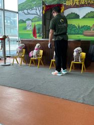 点击看大图 -未来动物城动物主题公园(大悦城店)