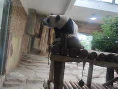 -常州淹城野生动物世界