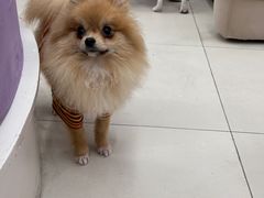 -怪兽屋·羊驼·猫咖·狗咖(俊华广场店)