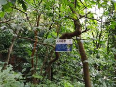 -广州市白云山风景名胜区