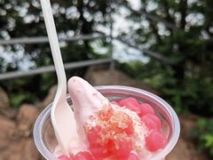 -紫金山山顶公园