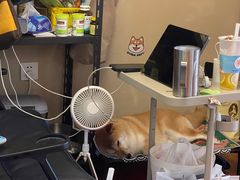 -About Bistro關於·泰式家庭料理