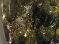 -青岛第三海水浴场