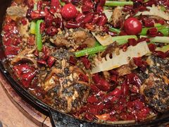 -老板恋上鱼(恒隆广场店)