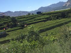 -大泽山风景名胜区