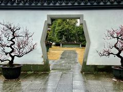 -杭州植物园