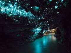 -怀托摩萤火虫洞