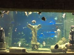 -梦幻海洋王国(吾悦广场张家港店)