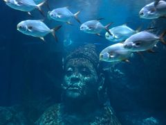 -暹罗海洋世界