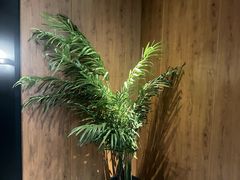 -新紫霞养生·影院足道·SPA(金山区店)