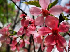 -文华公园(禅城区)