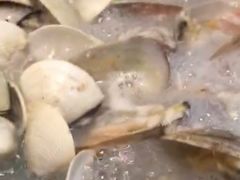 -拾下卜卜贝•海鲜火锅