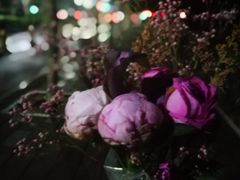 -ZOO COFFEE 动物园咖啡(亦庄店)