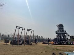 -上海长兴岛郊野公园