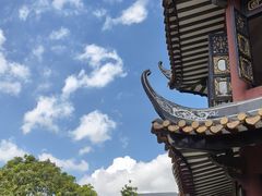 -碧江金楼