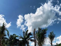 -玫瑰海岸文化旅游度假区