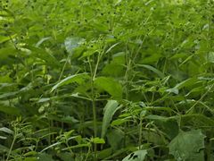 -汕头莲花山度假村温泉