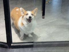 -MOLLY'S萌宠生活馆