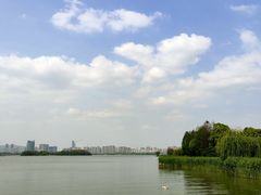 -长广溪湿地公园