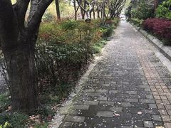 -新江湾城公园