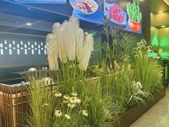 -313羊庄鲜羊火锅·鲜羊肉烧烤(李村店)