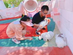 -季高兔窝窝亲子园(上海薰衣草公园店)