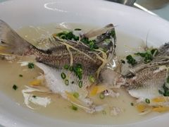 -八仔大富楼·河鲜(西江店)