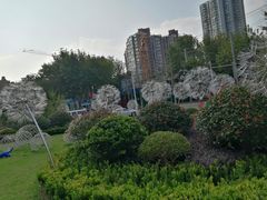 -中海环宇荟
