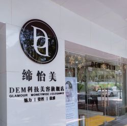 -DEM缔怡美科技美容
