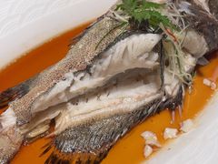 -百富源·海鲜辽菜(张士店)