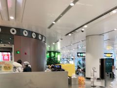 -麦当劳(北京大兴机场二层国内到达(安检外)店)