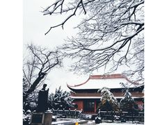 -苏州文庙(姑苏区)