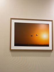 -北京米扬丽格医疗美容·联合丽格鼻整形中心