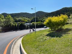 -棒棰岛宾馆景区