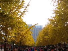 -辽宁大学(崇山校区)