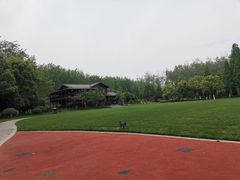 -合肥滨湖国家森林公园