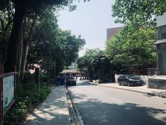 -火炉山森林公园